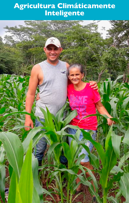 Programa Agricultura Climáticamente Inteligente de World Vision Nicaragua