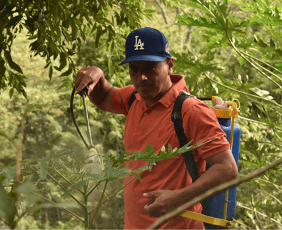 Agricultura Inteligente