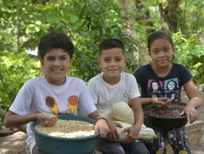 Voluntariado Comunitario